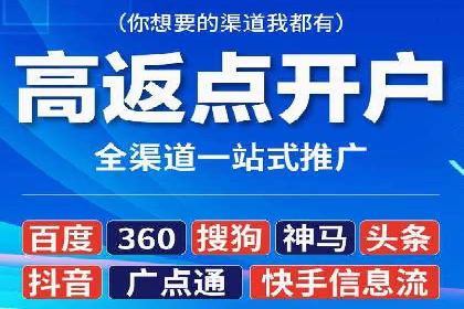 案例解读：网络推广与竞价策略